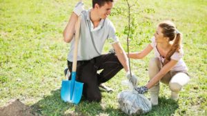 Planting a Tree in Knoxville Tennessee-2