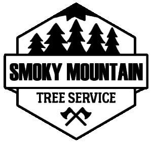 Smoky Mountain Black Logo