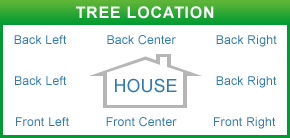 tree_location