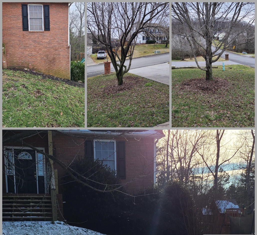 Removal and Trimming near Corryton, TN by Derek S. (Check-in #3231)