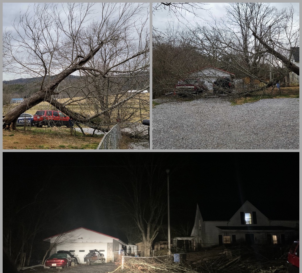 Storm Damage near Blaine, TN by Derek S. (Check-in #3243)