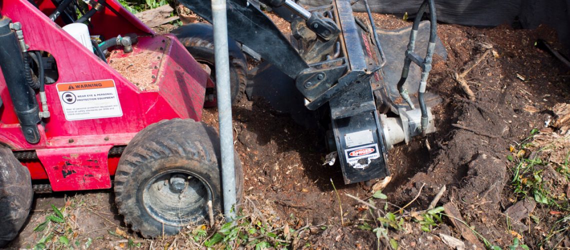 Smoky Mountain Tree Service Stump-Grinding-Vs-Stump-Removal